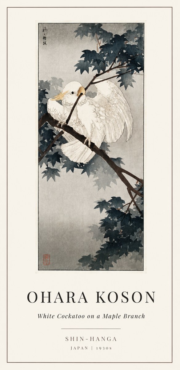 Ohara Koson White Cockatoo on a Maple Branch No1 - Plakat