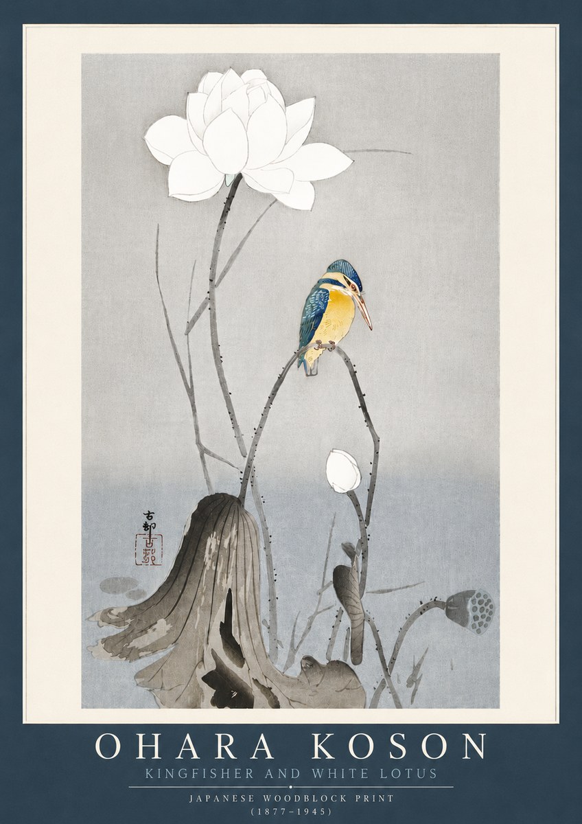 Ohara Koson Kingfisher and White Lotus No4 - Plakat