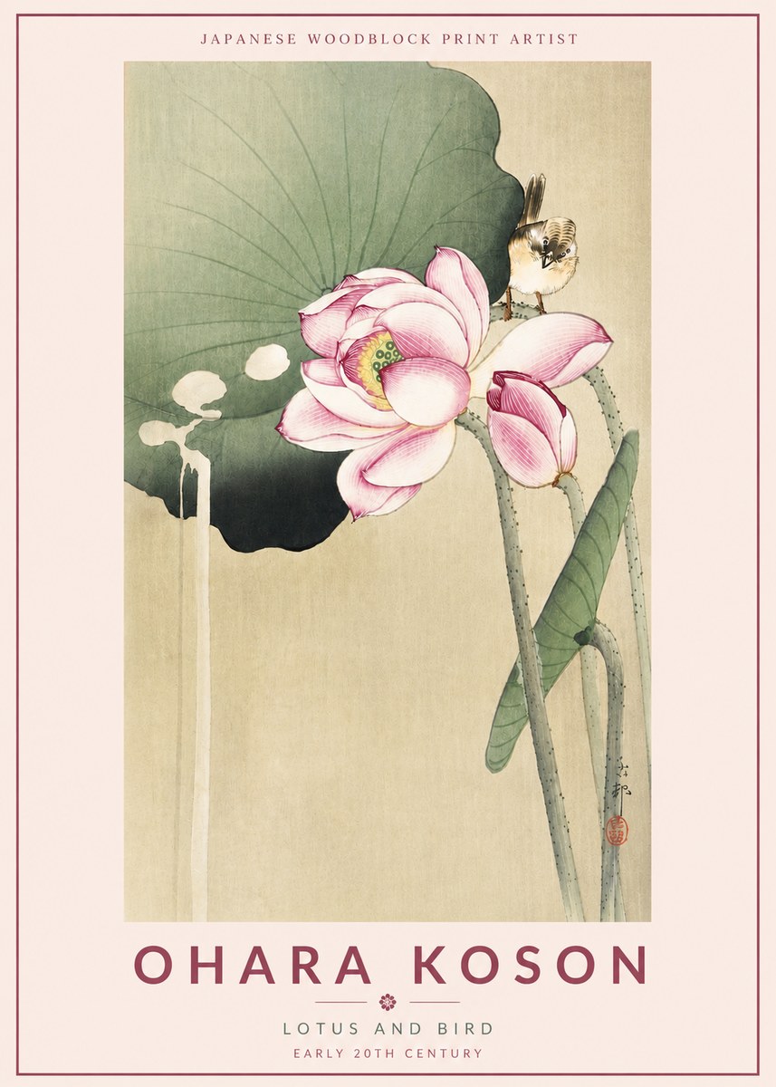 Ohara Koson Lotus and Bird No4 - Plakat