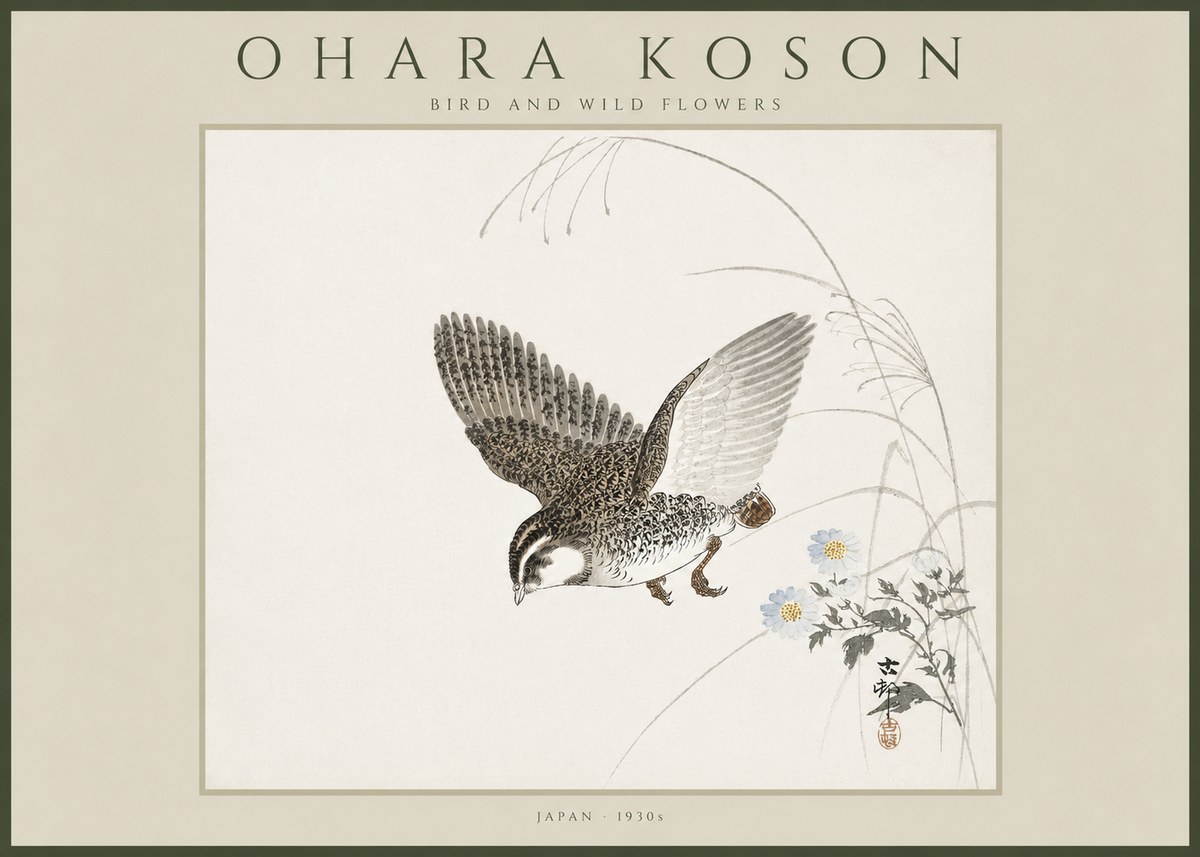 Ohara Koson Bird and Wild Flowers No4 - Plakat