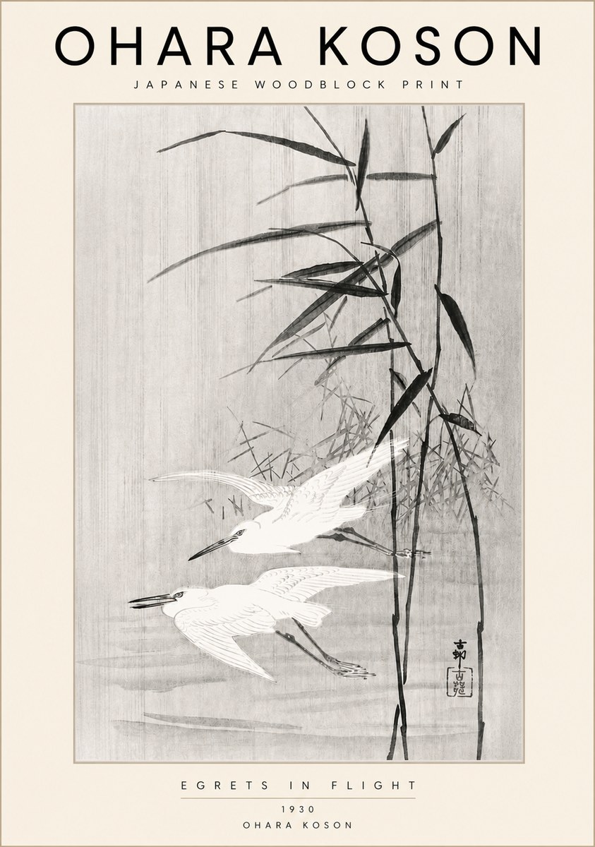 Ohara Koson Two Herons and Reeds No6 - Plakat