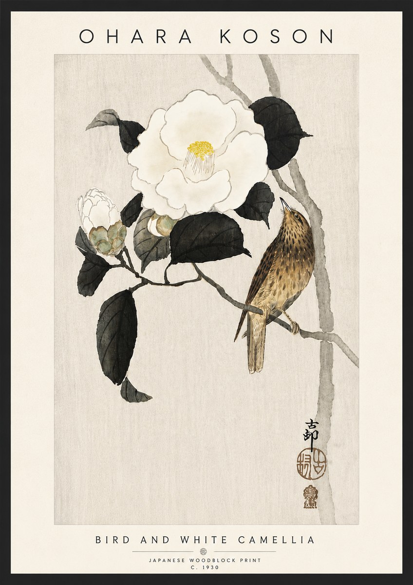 Ohara Koson Bird and White Camellia No6 - Plakat
