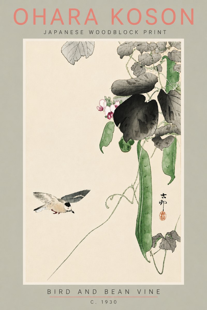 Ohara Koson Bird and Bean Vine No5 - Plakat