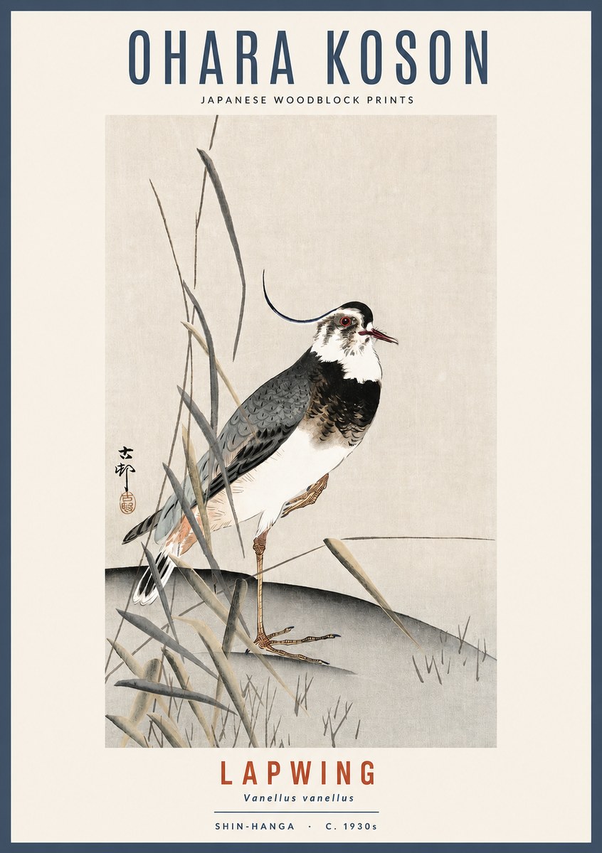 Ohara Koson Lapwing No2 - Plakat
