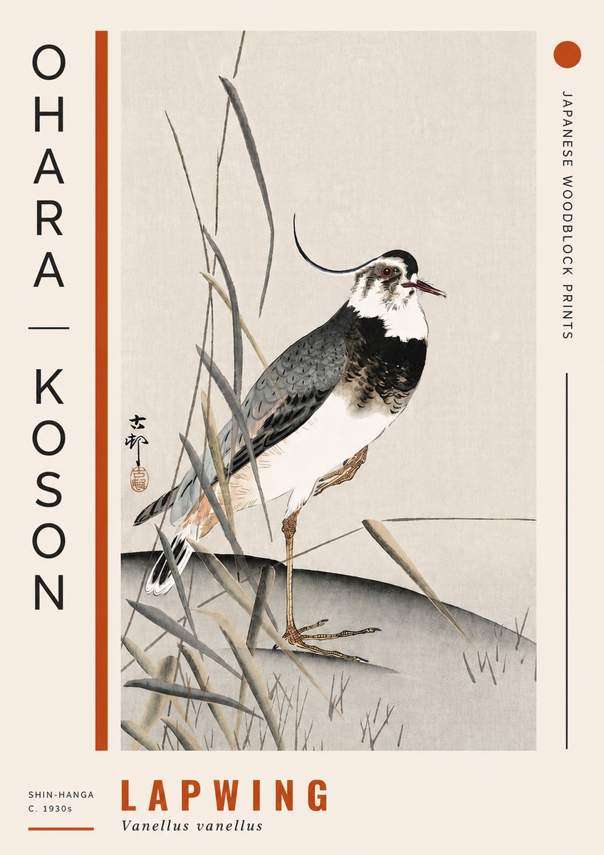 Ohara Koson Lapwing No4 - Plakat
