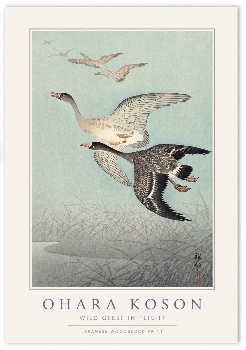 Ohara Koson Wild Geese in Flight II No1 - Plakat