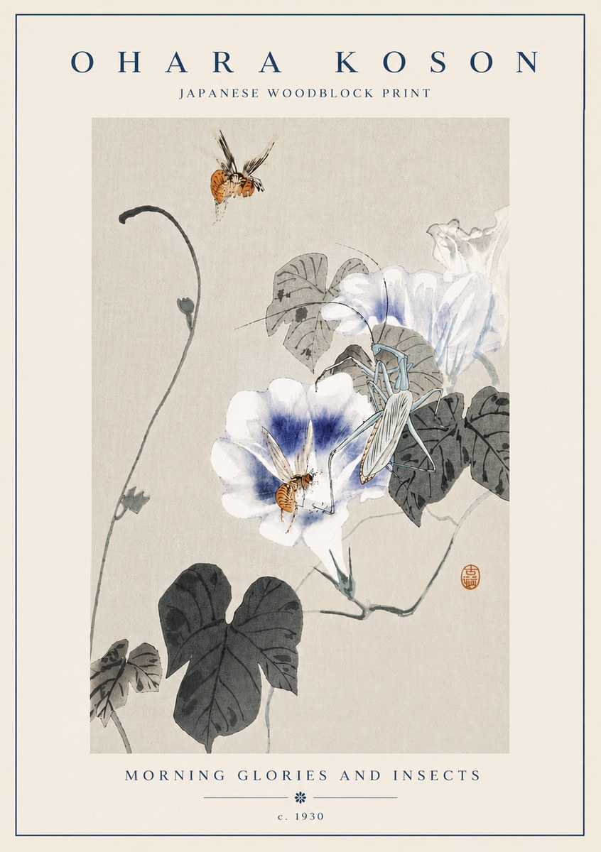 Ohara Koson Morning Glories and Insects No6 - Plakat