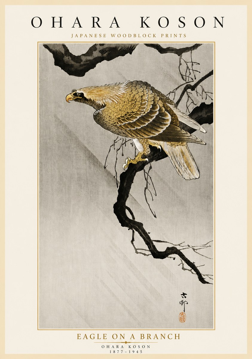 Ohara Koson Eagle on a Branch II No5 - Plakat