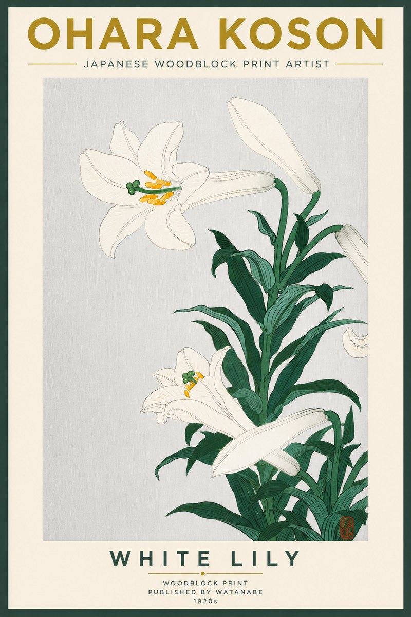Ohara Koson White Lily No5 - Plakat