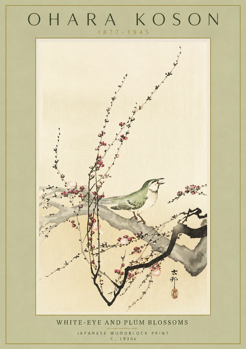 Ohara Koson White-eye and Plum Blossoms No4 - Plakat