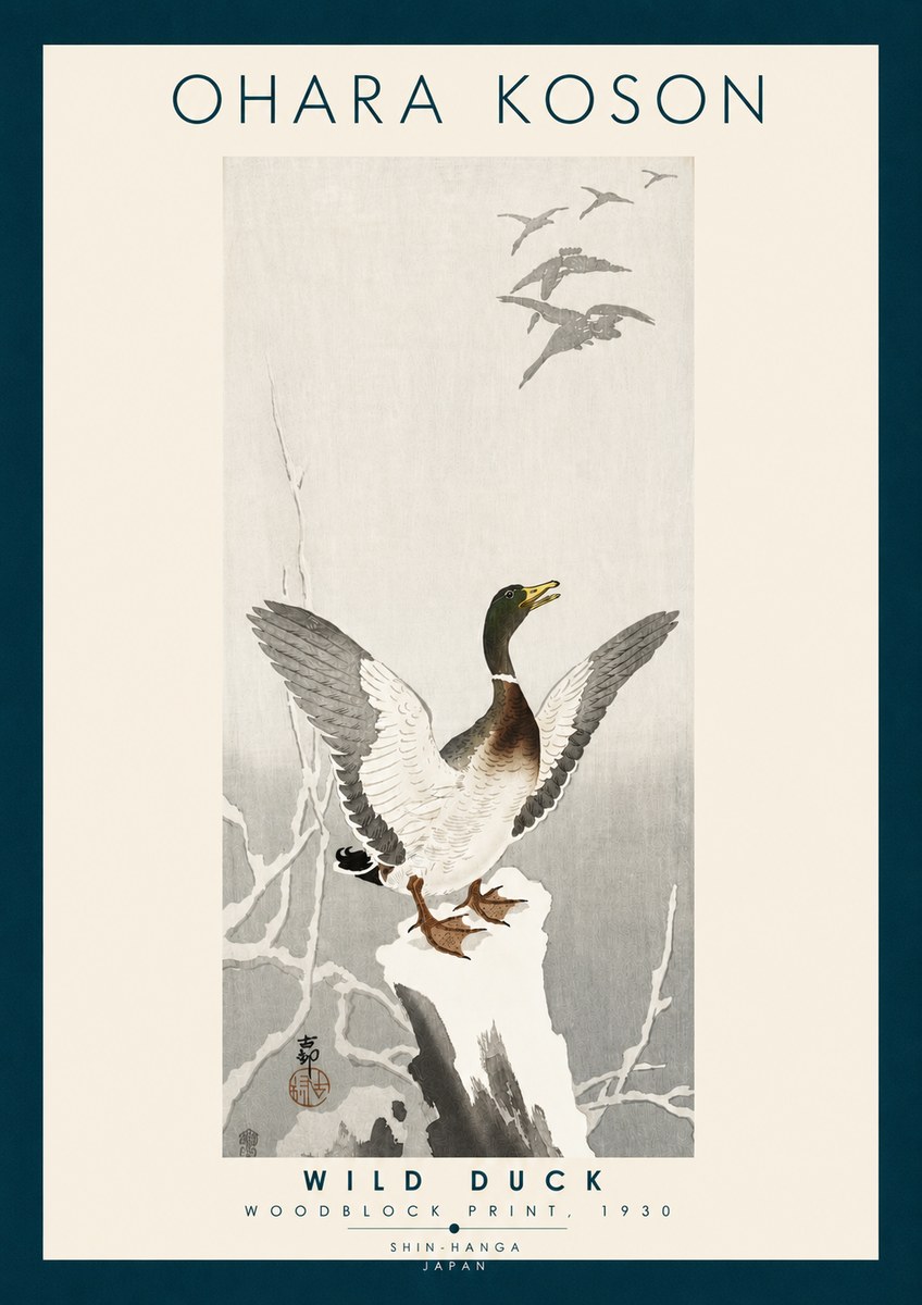 Ohara Koson Wild Duck No6 - Plakat