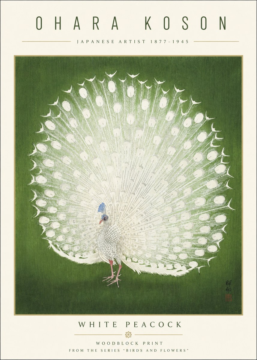 Ohara Koson White Peacock No3 - Plakat