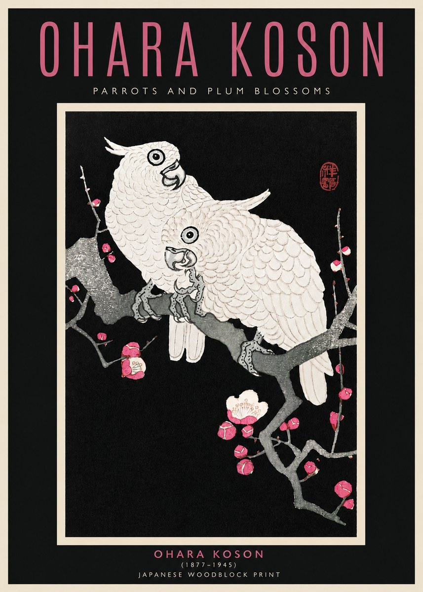 Ohara Koson Parrots and Plum Blossoms No4 - Plakat