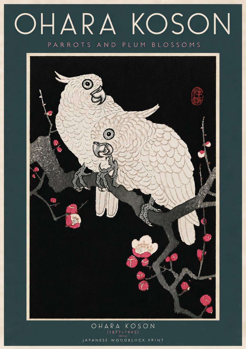 Ohara Koson Parrots and Plum Blossoms No6 - Plakat