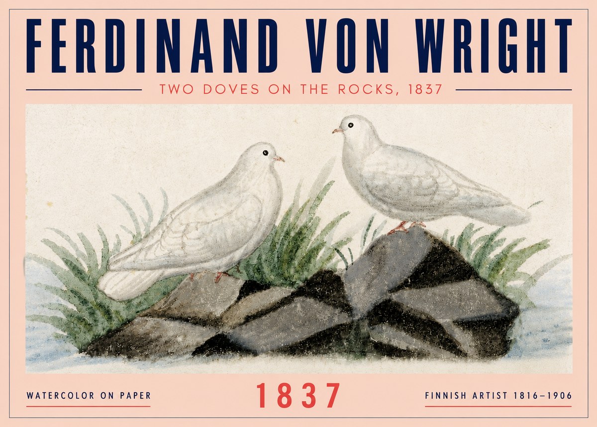 Ferdinand von Wright Two Doves on the Rocks, 1837 No4 - Plakat