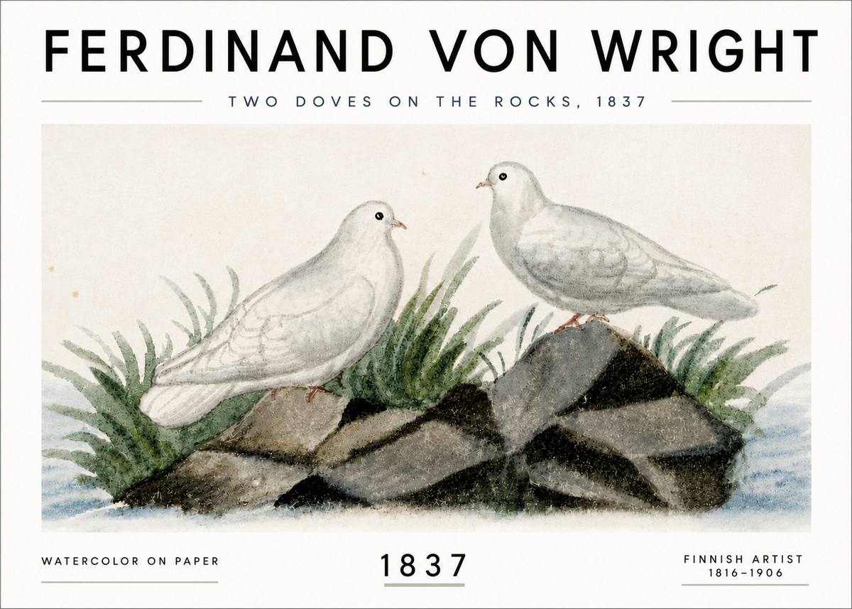 Ferdinand von Wright Two Doves on the Rocks, 1837 No6 - Plakat