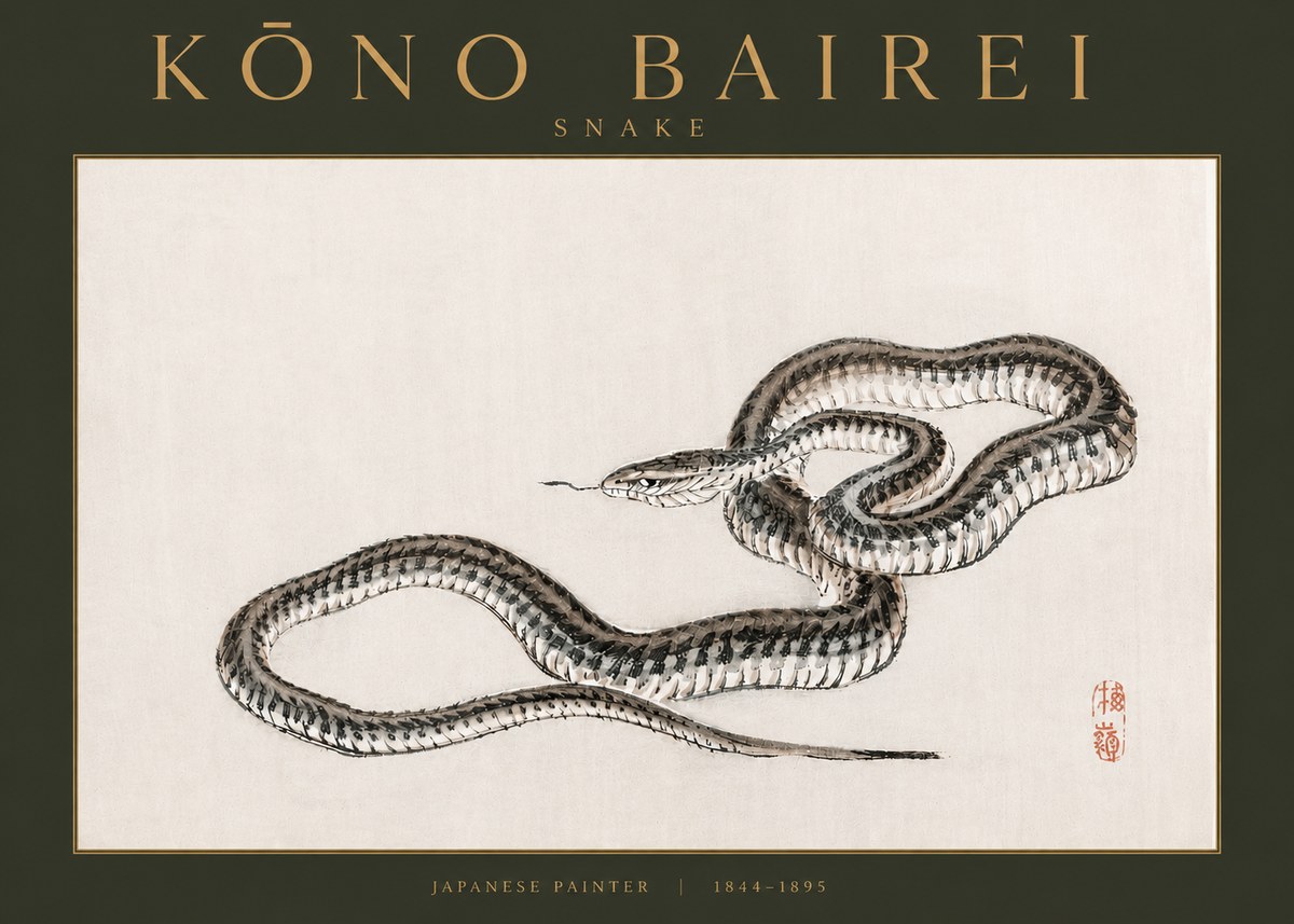 Kōno Bairei Snake No3 - Plakat