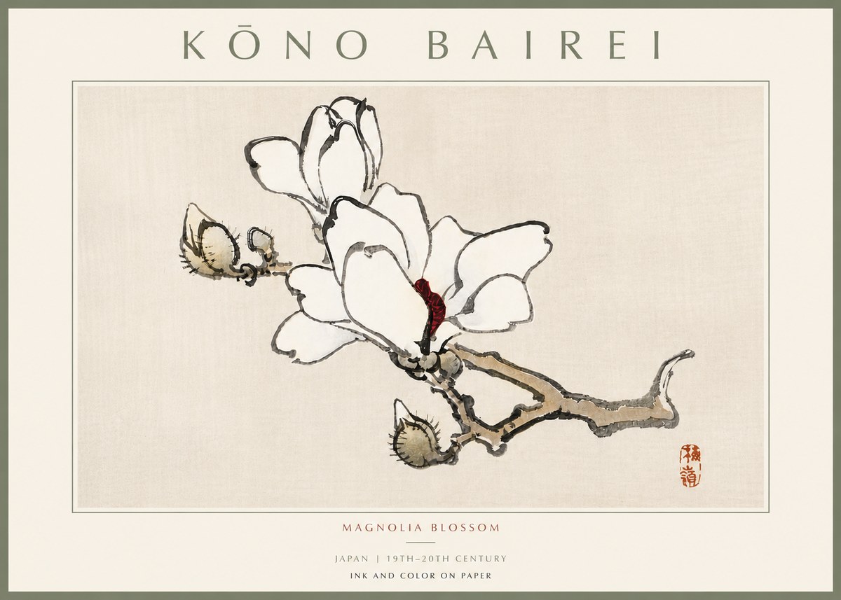 Kōno Bairei Magnolia Blossom No5 - Plakat