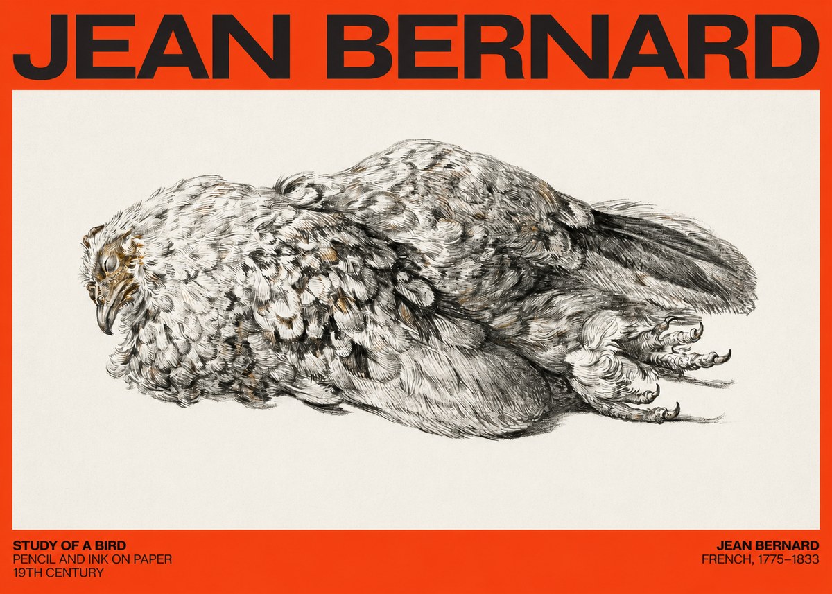 Jean Bernard Study of a Bird I No4 - Plakat