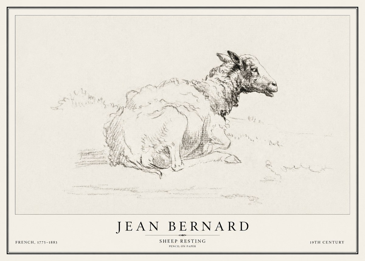 Jean Bernard Sheep Resting No1 - Plakat