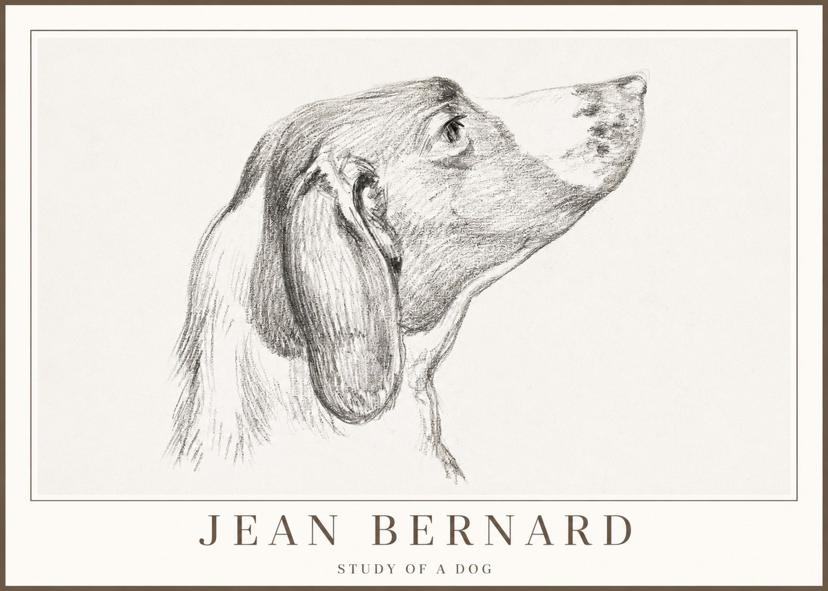 Jean Bernard Study of a Dog I No2 - Plakat