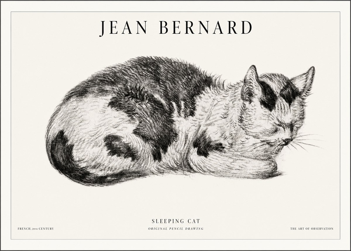 Jean Bernard Sleeping Cat I No5 - Plakat
