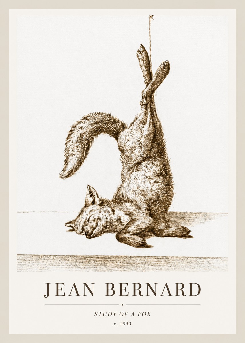 Jean Bernard Study of a Fox No1 - Plakat