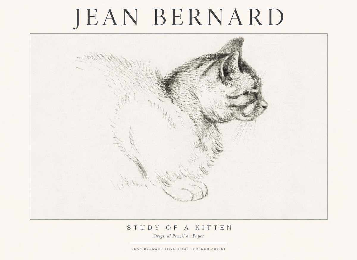 Jean Bernard Study of a Kitten II No1 - Plakat
