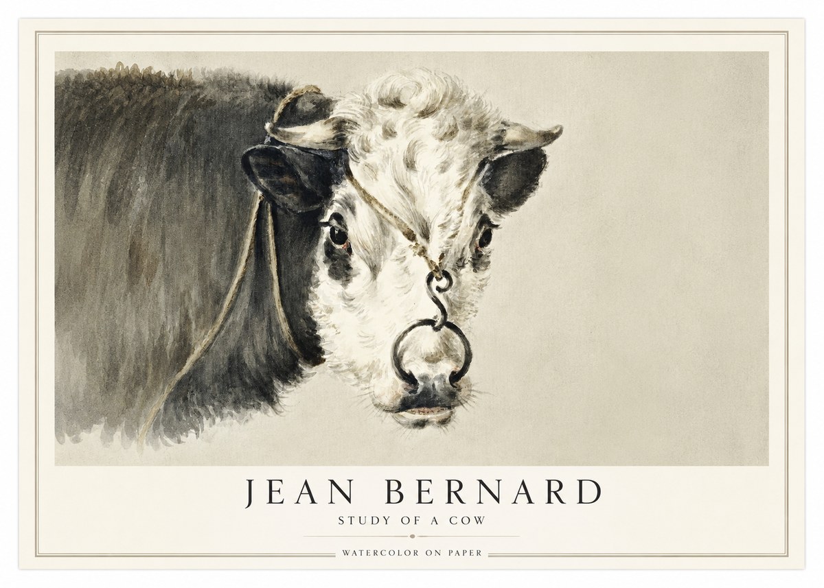 Jean Bernard Study of a Cow I No1 - Plakat