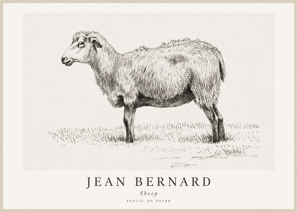 Jean Bernard Sheep No1 - Plakat