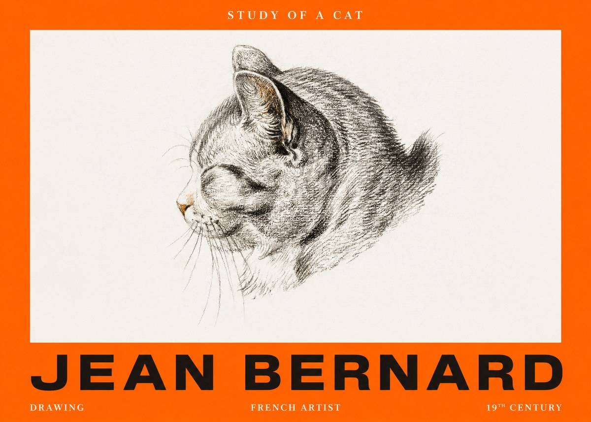 Jean Bernard Study of a Cat I No2 - Plakat