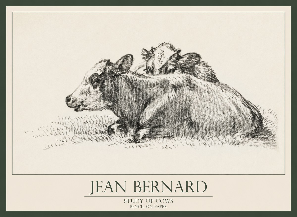 Jean Bernard Study of Cows No1 - Plakat