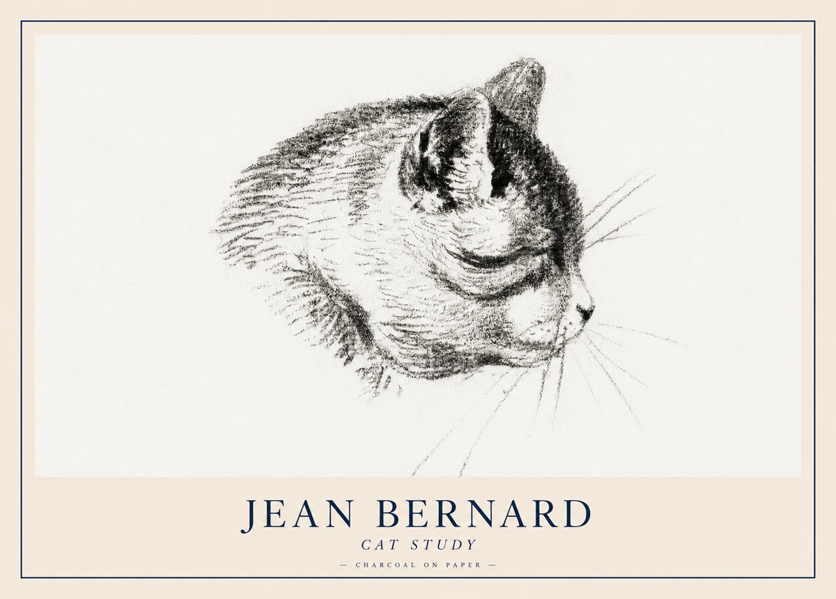 Jean Bernard Cat Study IV No2 - Plakat