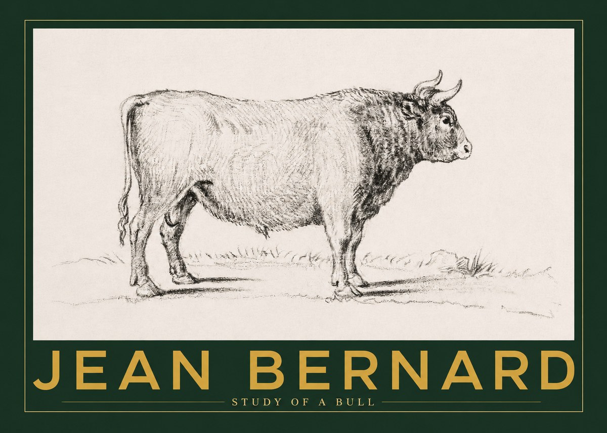 Jean Bernard Study of a Bull I No2 - Plakat