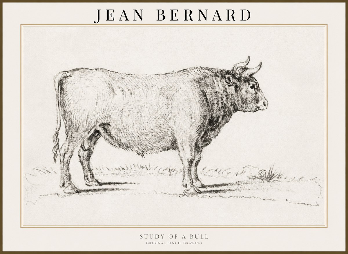 Jean Bernard Study of a Bull I No3 - Plakat