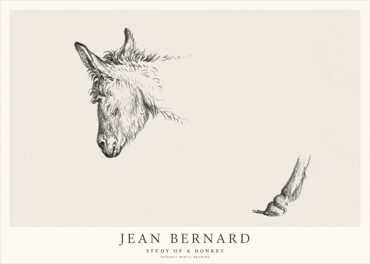 Jean Bernard Study of a Donkey II No1 - Plakat