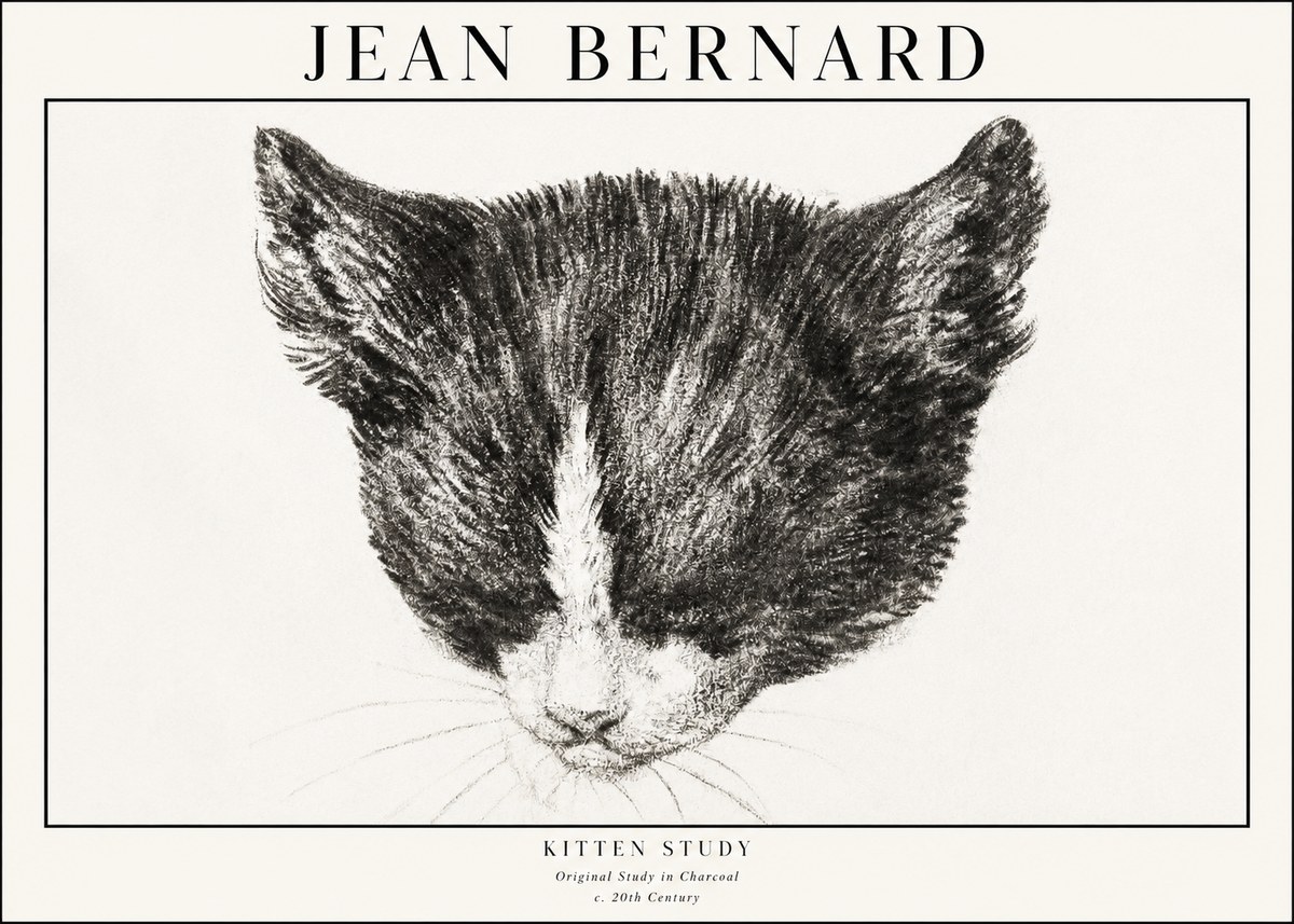 Jean Bernard Cat Study V No4 - Plakat