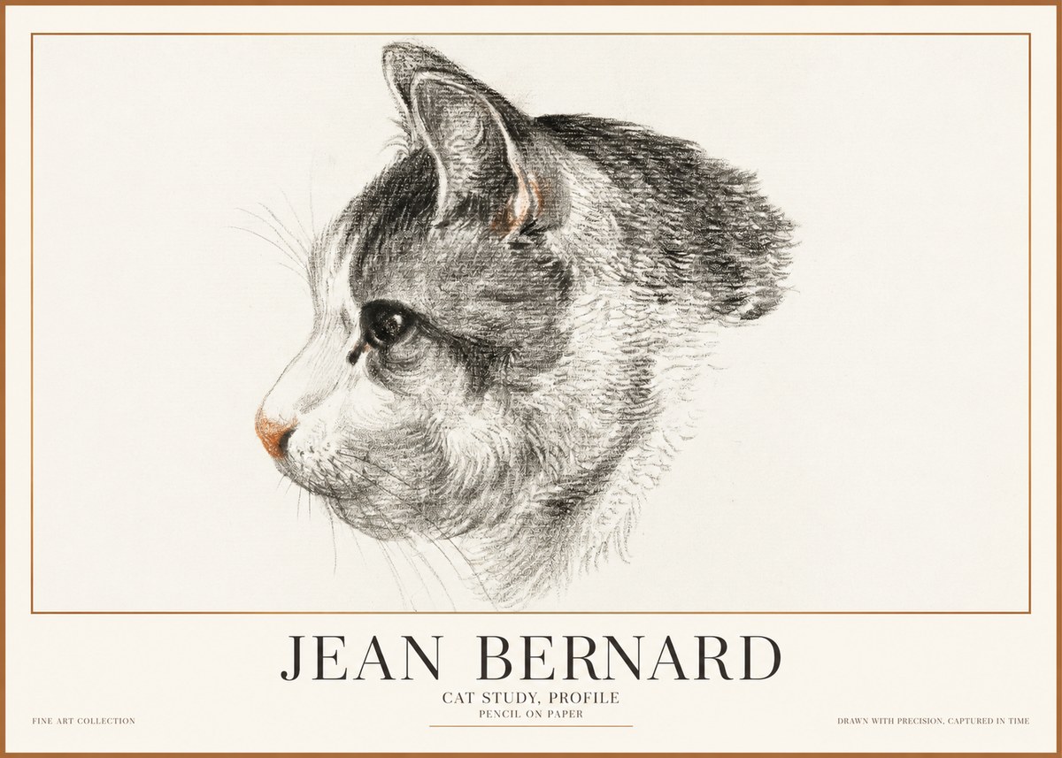Jean Bernard Cat Study, Profile No1 - Plakat