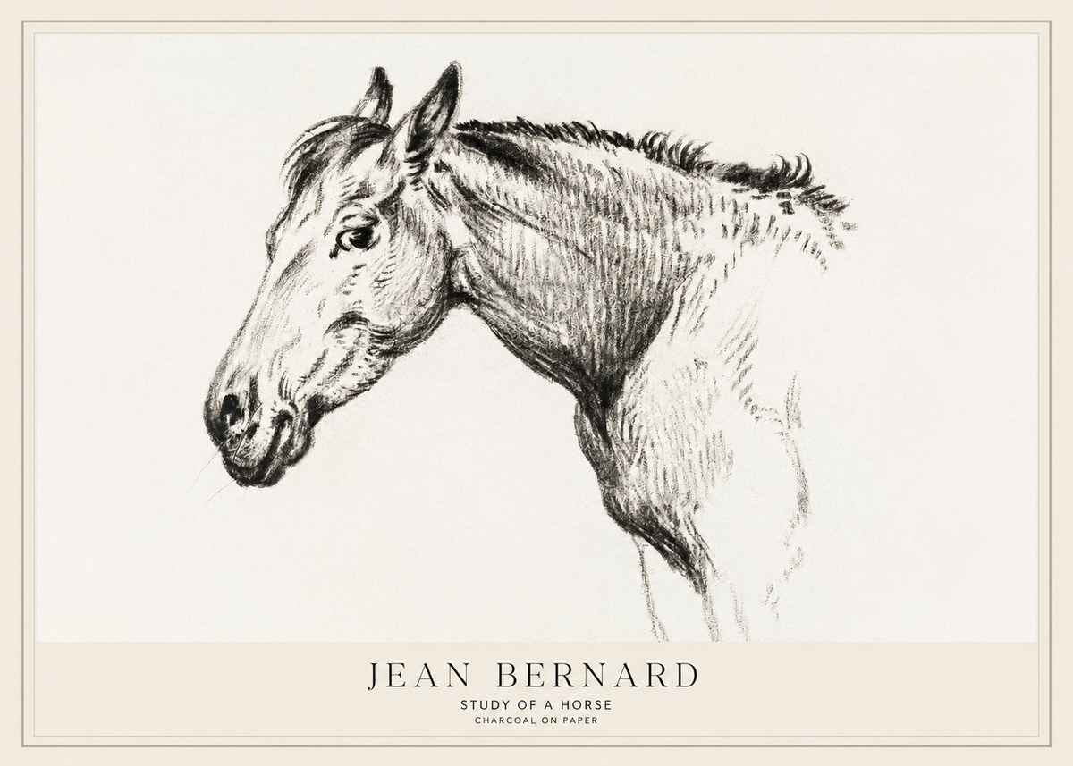 Jean Bernard Study of a Horse VI No1 - Plakat