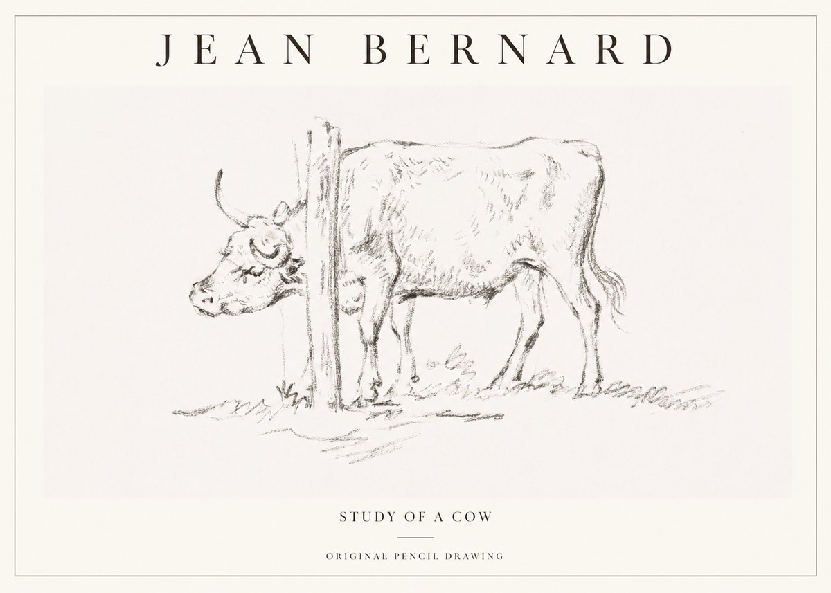 Jean Bernard Study of a Cow VII No1 - Plakat