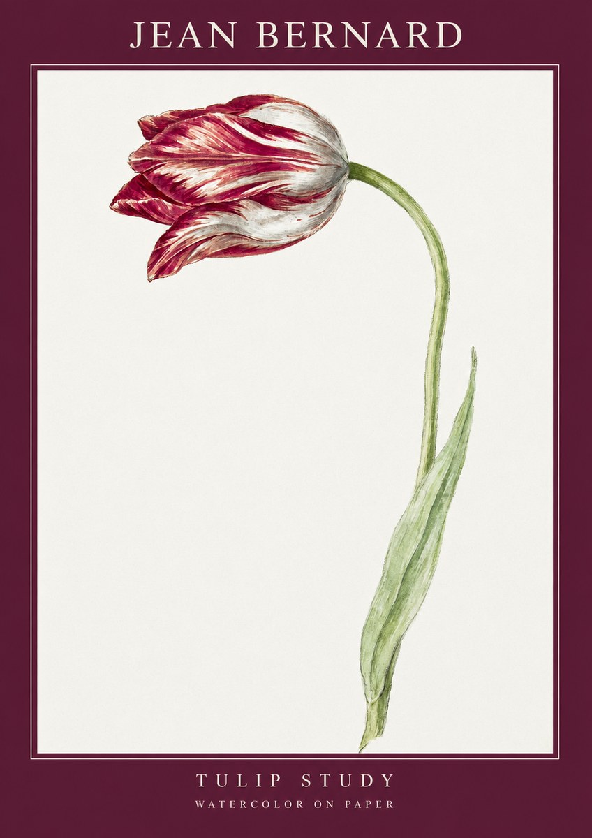 Jean Bernard Tulip Study No2 - Plakat