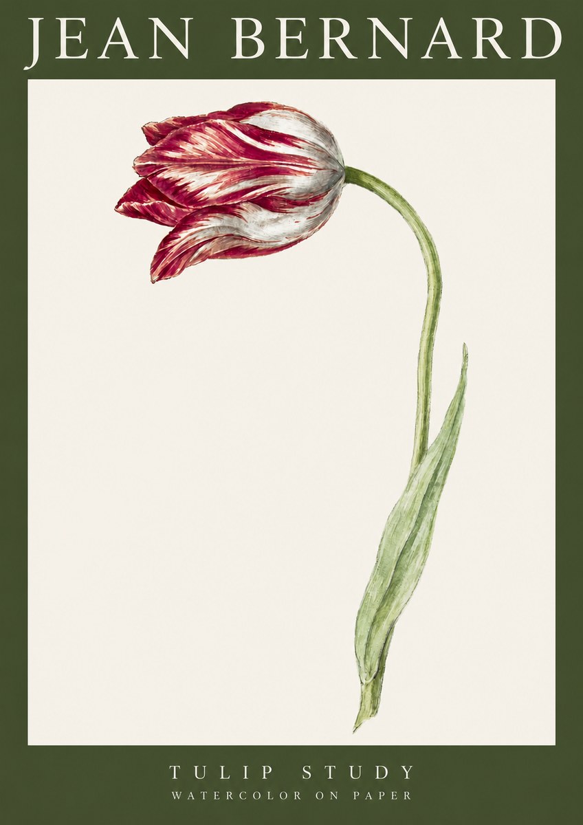 Jean Bernard Tulip Study No3 - Plakat
