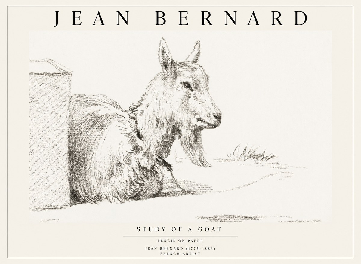 Jean Bernard Study of a Goat IV No1 - Plakat