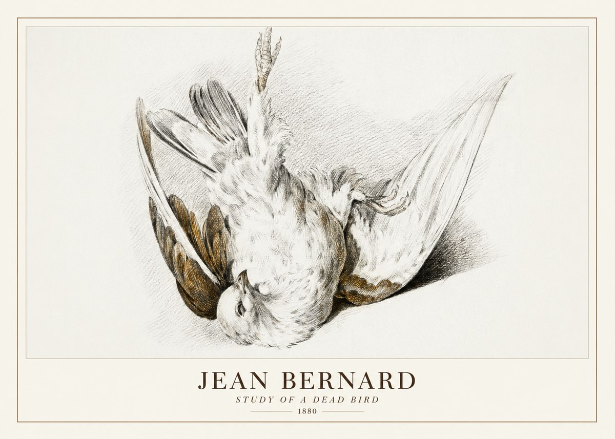 Jean Bernard Study of a Dead Bird No3 - Plakat