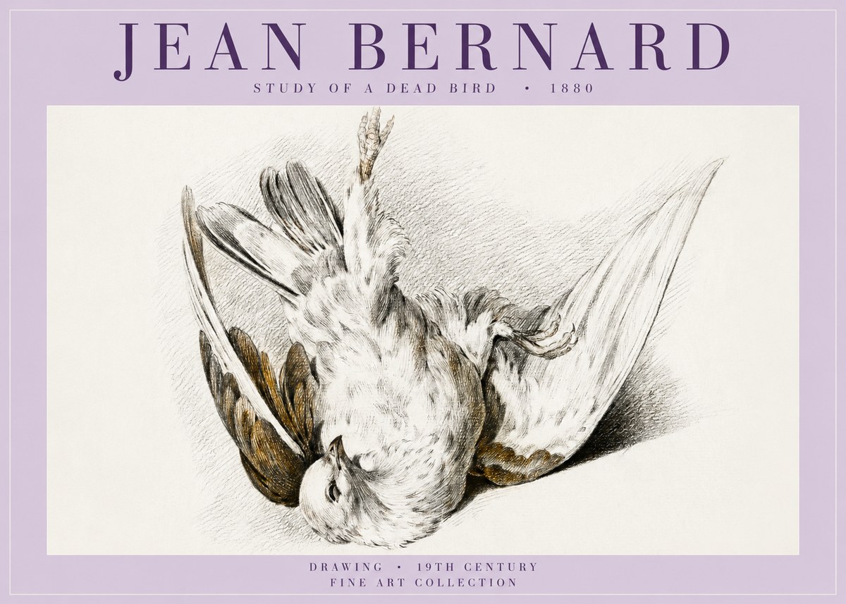 Jean Bernard Study of a Dead Bird No5 - Plakat