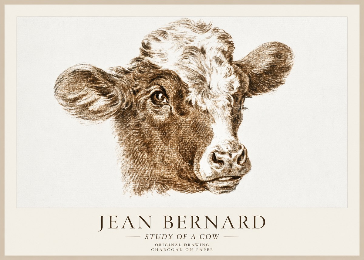 Jean Bernard Study of a Cow VIII No1 - Plakat