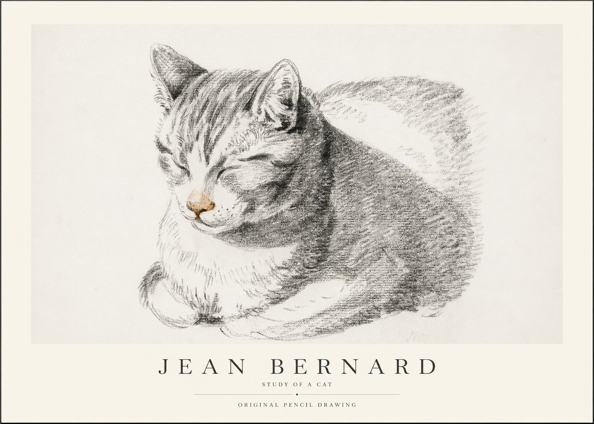 Jean Bernard Sleeping Cat VI No2 - Plakat