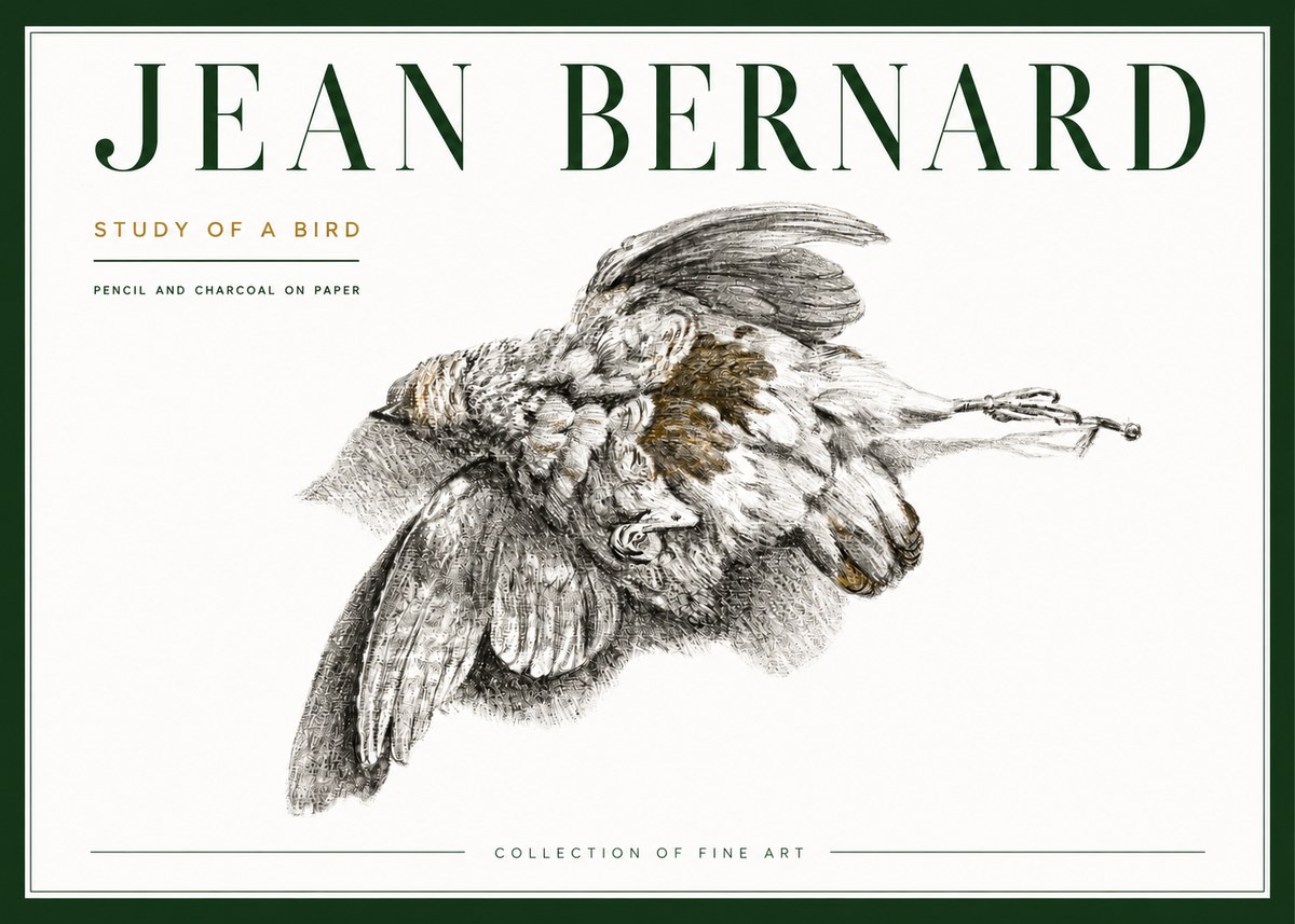 Jean Bernard Study of a Bird III No4 - Plakat