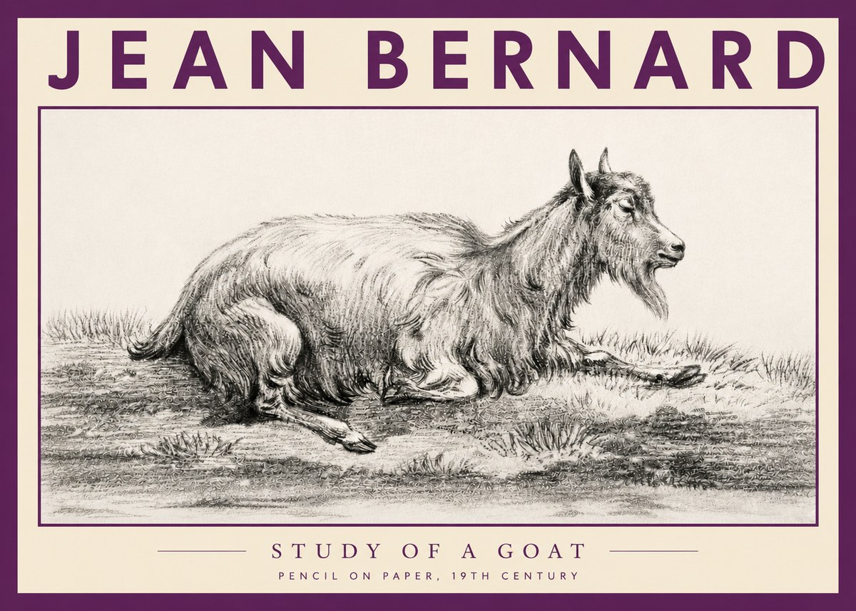 Jean Bernard Study of a Goat V No3 - Plakat