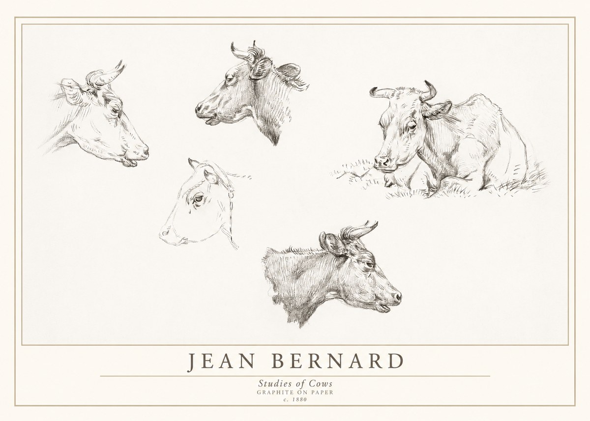 Jean Bernard Studies of Cows I No1 - Plakat